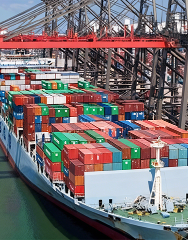 Maritime Shipping Direct Line